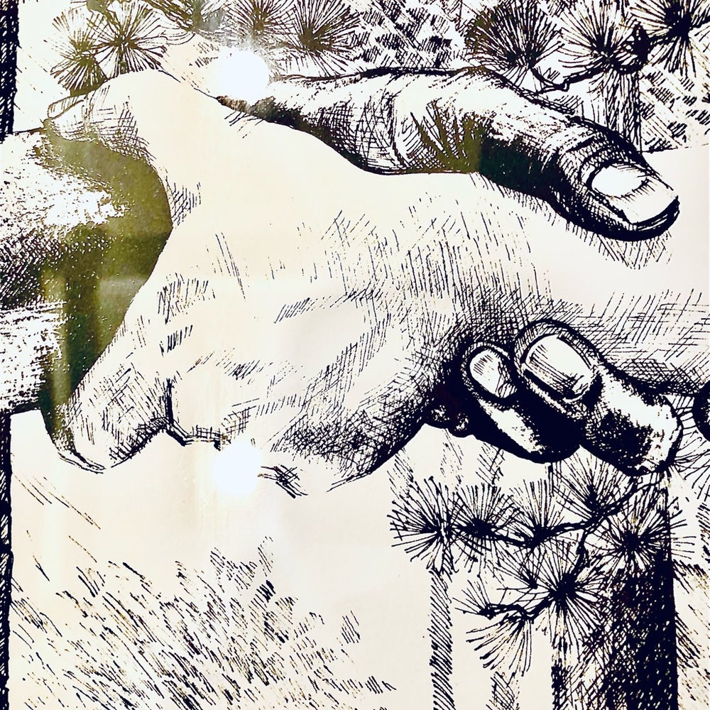 Ink Drawing - Picture 2 of 5